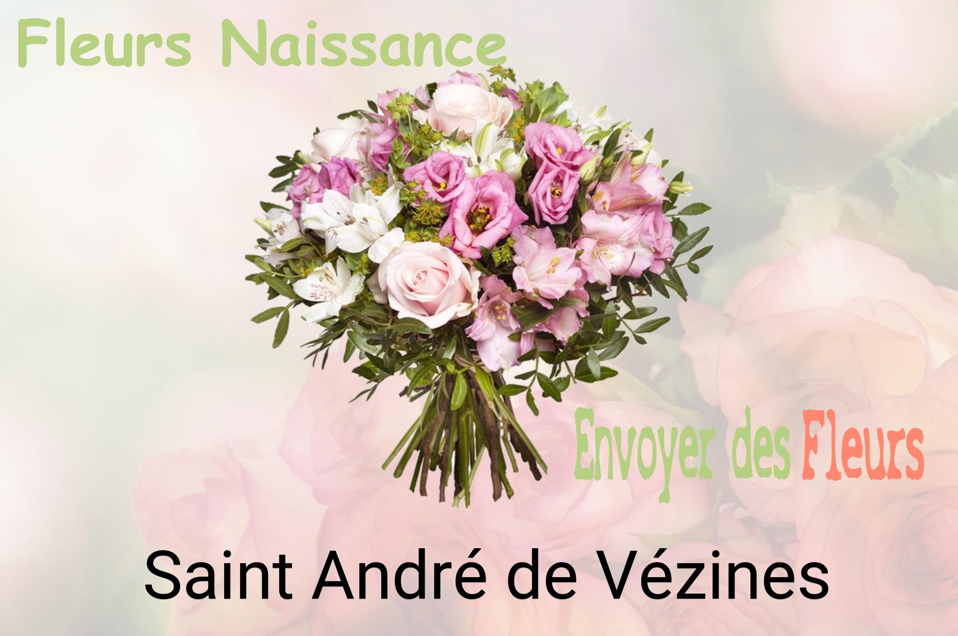 Bouquet de fleurs de naissance livré à Saint-André-de-Vézines