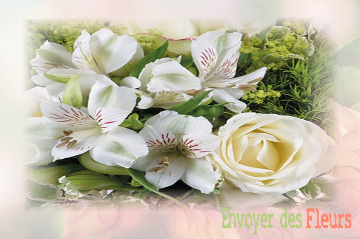 envoyer des fleurs à à SAINT-ANDRE-DE-VEZINES